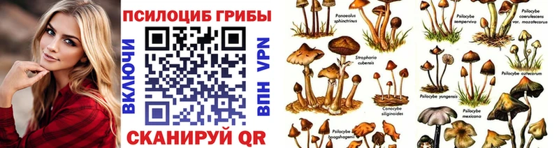 Купить закладки  Ессентукская  Галлюциногенные грибы Psilocybe 
